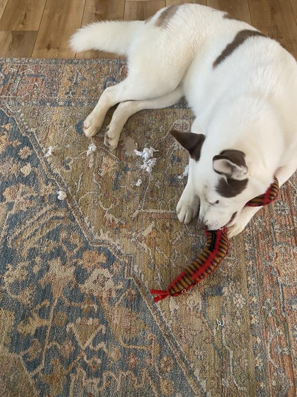 If there is a vulnerable spot to destroy it Riggs will find it.