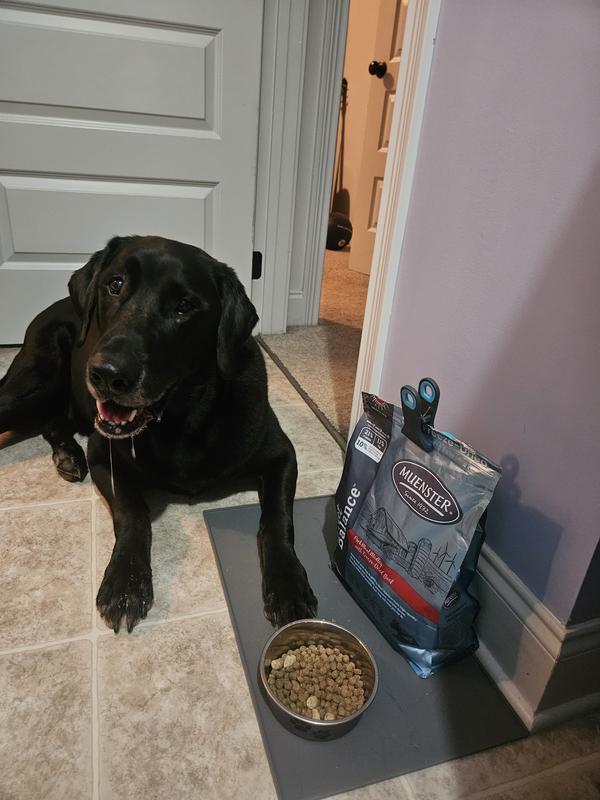 Let the Droolfest Begin