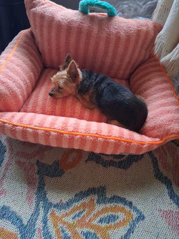 Comfortable pet bed your cat or dog will just love!!