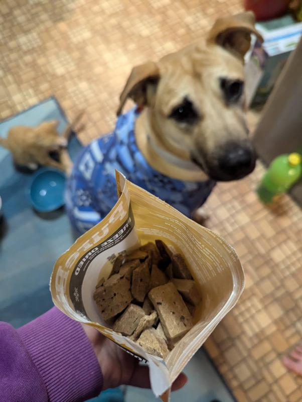 Random sizes & shapes! Not processed & reformed.