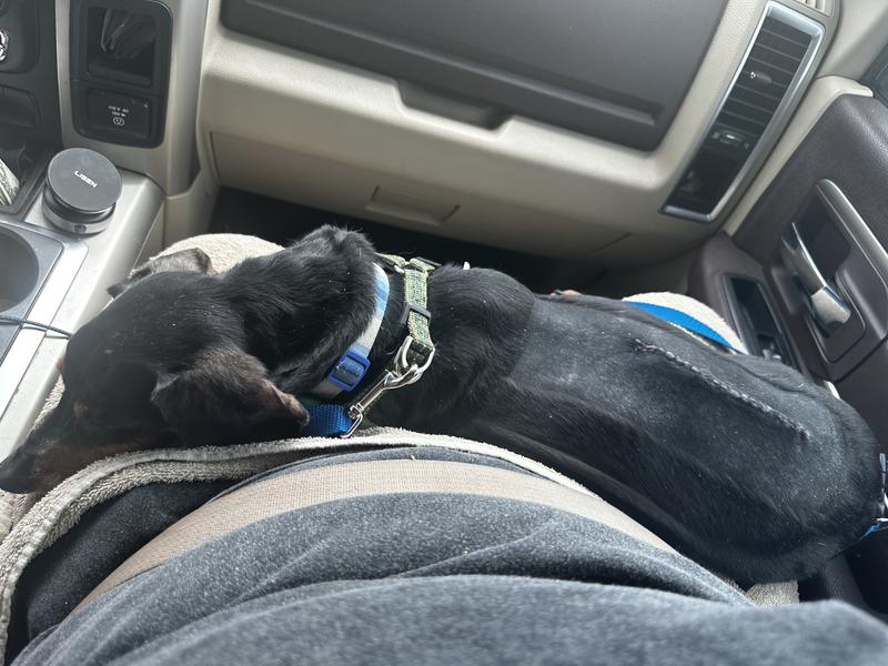 A week after surgery