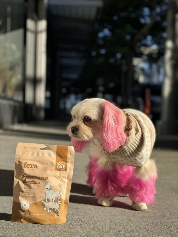 Dog loves the smell even from the outside!