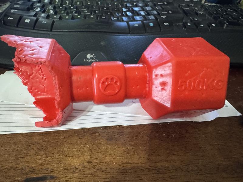 Not for Super Chewers :(