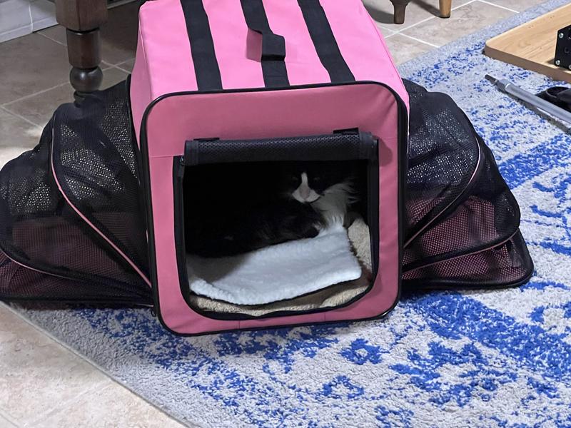 Comfy and cozy