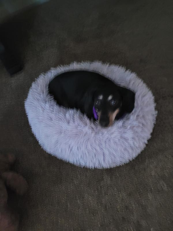 Miss Lucy