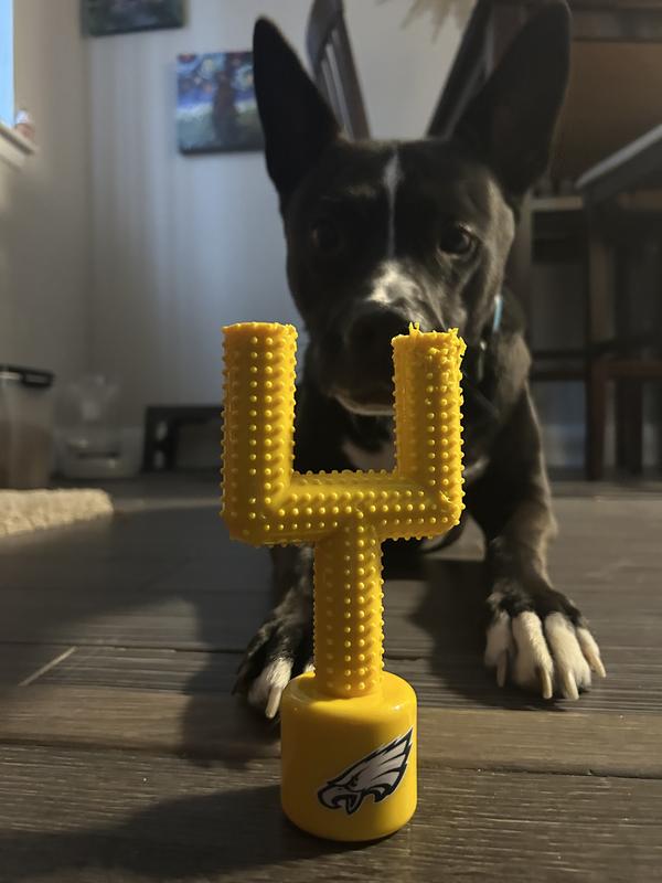 Super Bowl ready 🦅