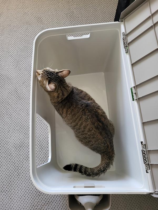 FRISCO MultiFunction Covered Cat Litter Box, 29in, With Tray