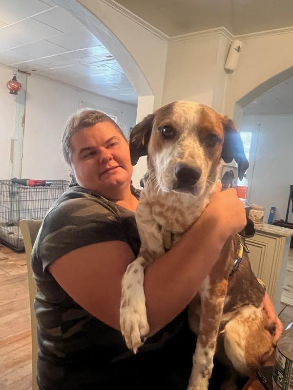 My happy boy no longer busy itching or licking or sore spots