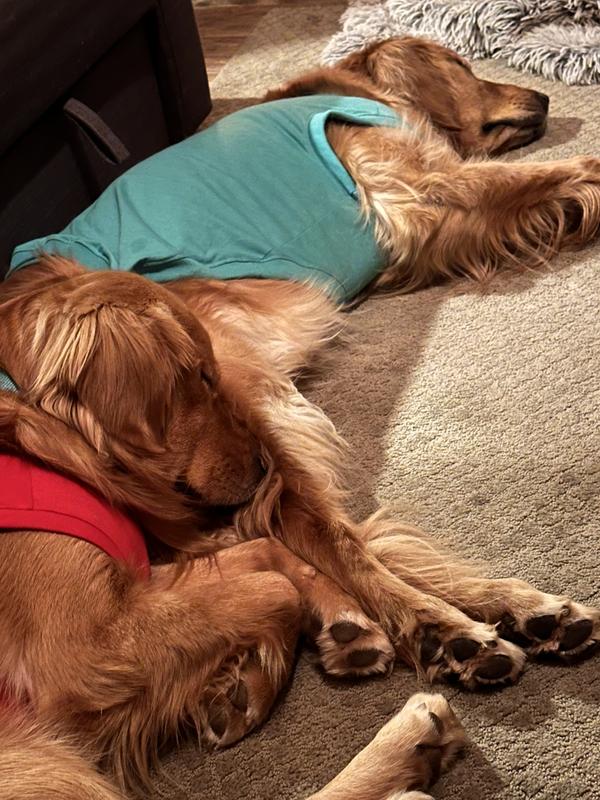 Only grabbed a pic when they were napping