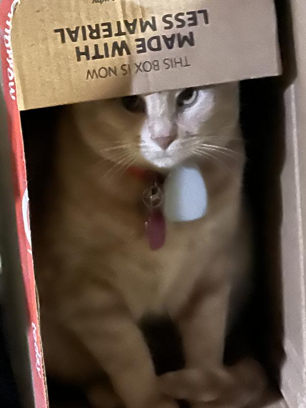 I am hiding you can’t see me