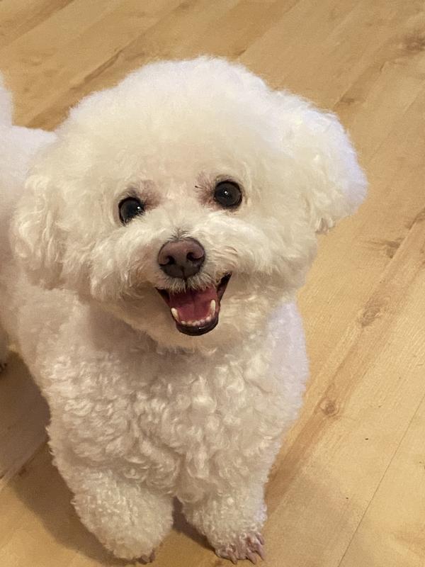 Casper my healthy little boy.