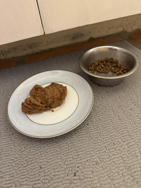 Untouched next to dry that was eaten