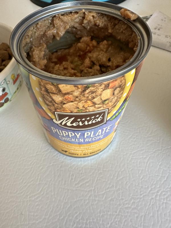 Merrick canned puppy food sale