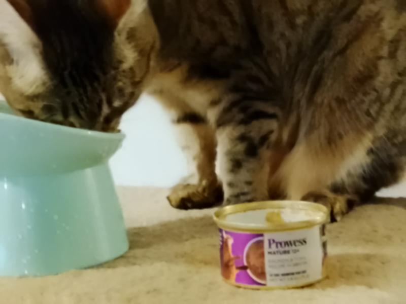 I needed to include this. This looks like an actual commercial for this Prowess.