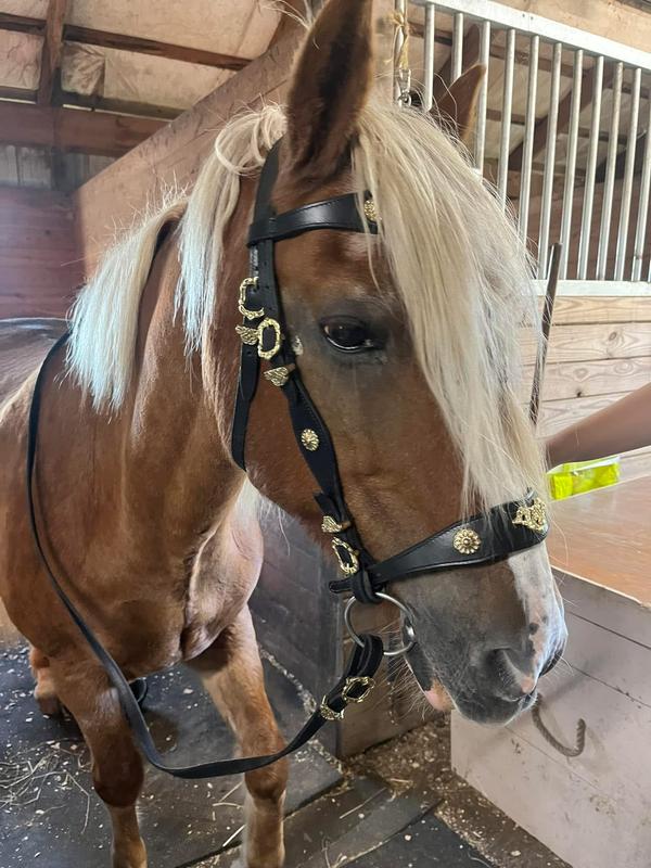 Thank you for great customer service!