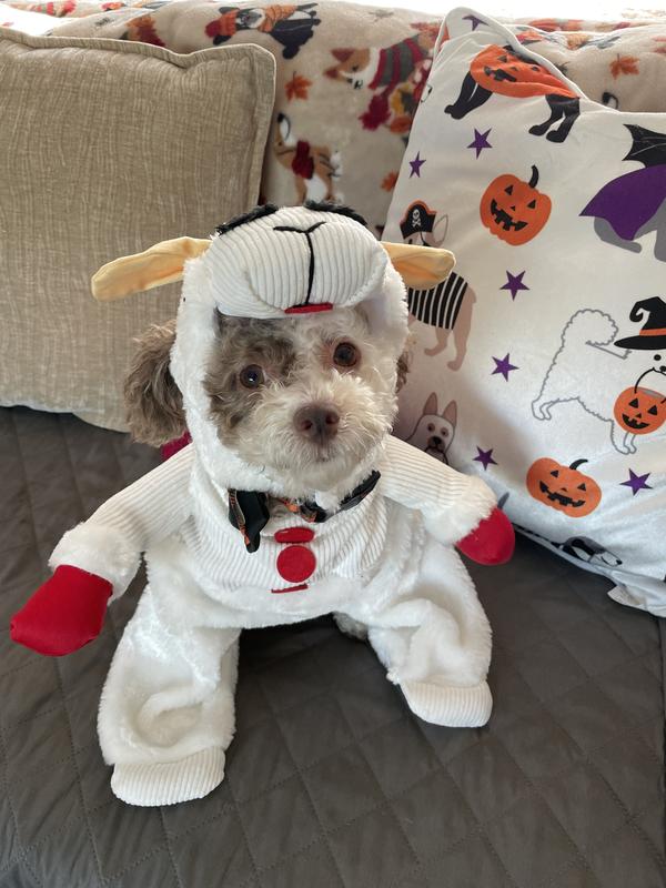 Rubie's Costume Company Lamb Chop Dog Costume