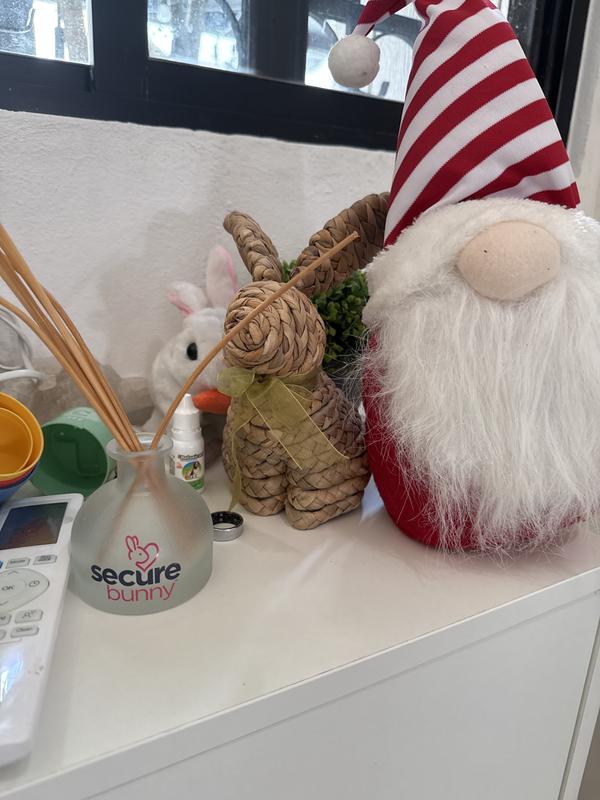 I have one in the living room and another in the bunnie’s room