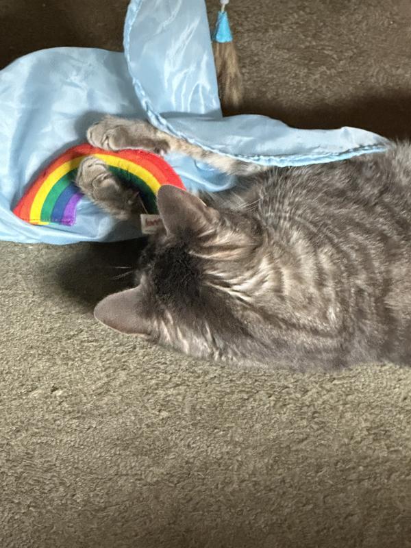 He tore apart another toy during rough rainbow play