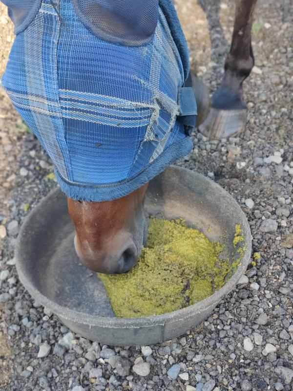 Ghirardelli says yum!