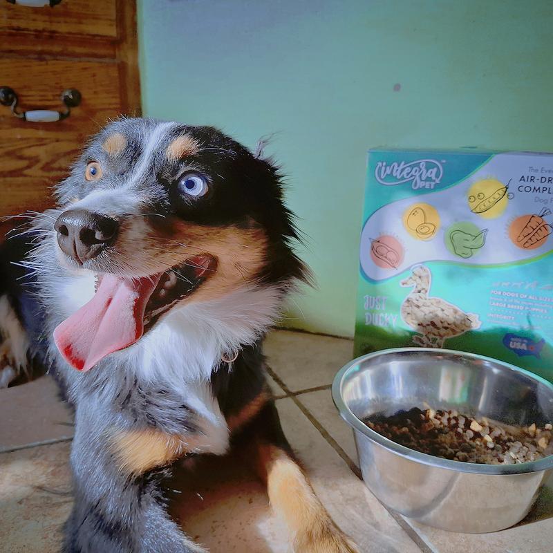 Sitka enjoying her favorite food.