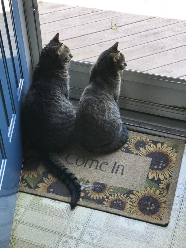 Wrigley and Tilly