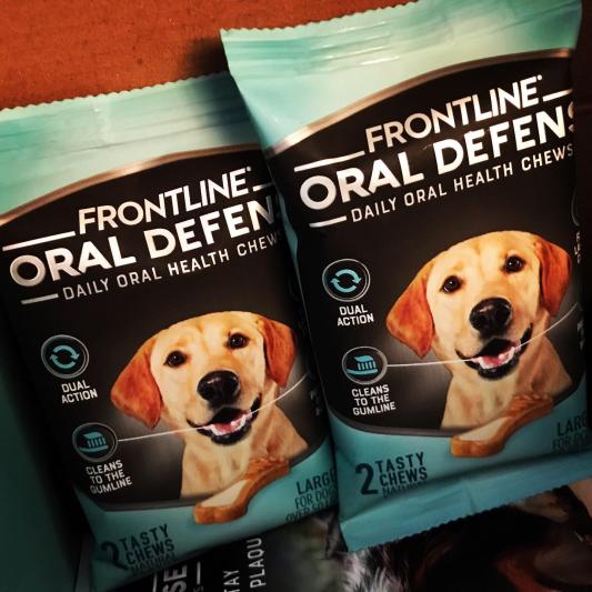 Frontline oral defense outlet dental chews