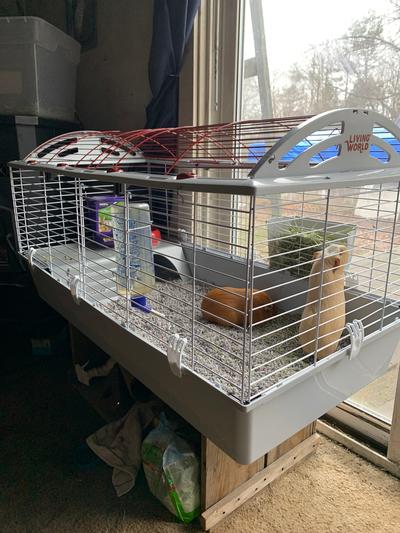 Living world extra large rabbit cage hotsell