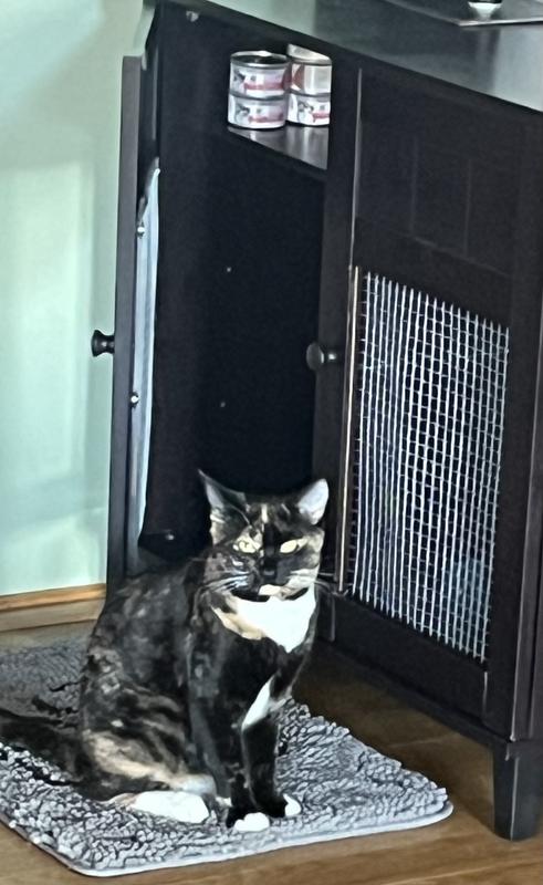 Maddie is waiting for her next meal. She opens her feed station to be sure you know what she’s there for.