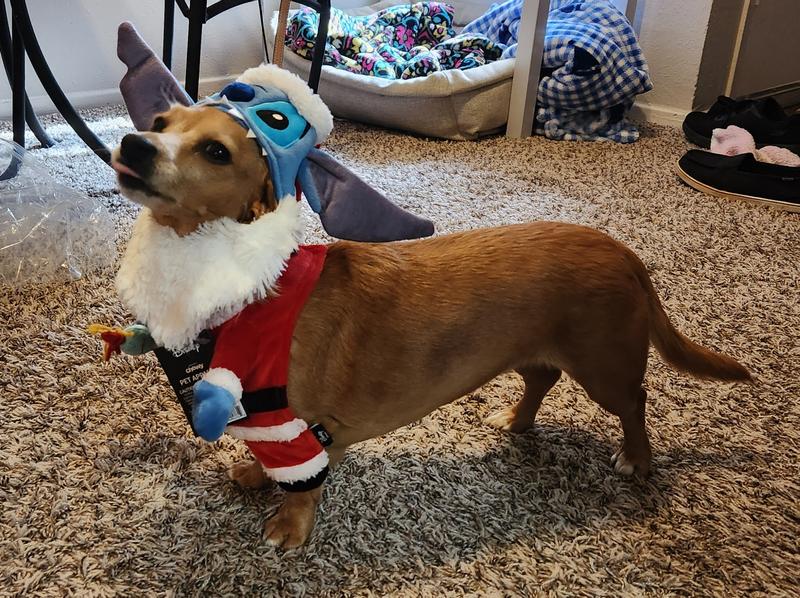 DISNEY Santa Stitch Walking Dog Cat Costume, XXX-Large