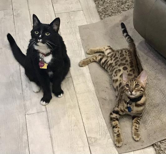 Lookin sleek & shiny, because of Wysong