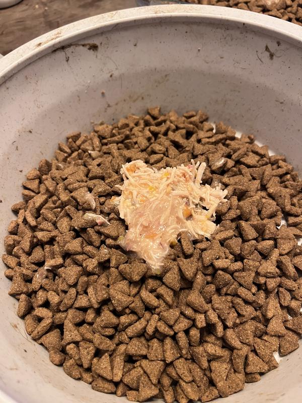 GO! SOLUTIONS Booster Immune Health Shredded Chicken & Salmon in Broth