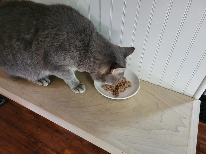 Loves, loves, loves ate it all up.