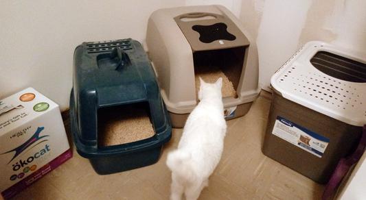 Almost twice the size of my other front loading litter box.