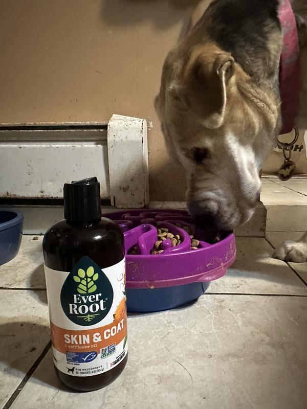 Natural Skin & Coat Dog Supplement with Safflower & Hemp