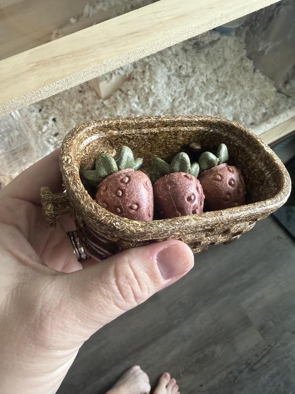 Berries in the basker