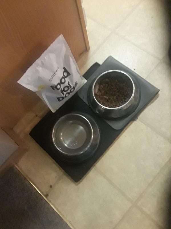 Leashboss Splash Mat XL Dog Food Mat with Tall Lip, Extra Large