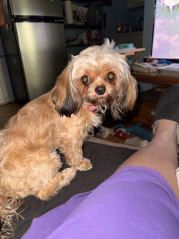 All 6.9 lbs of my baby