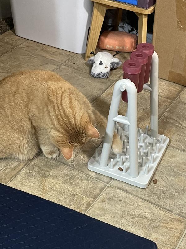 Punkin working on fishing a treat from the spikes
