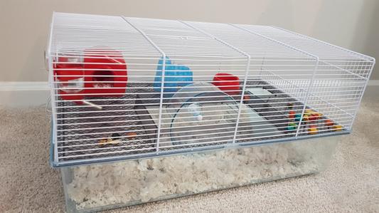 MIDWEST Brisby Hamster Cage