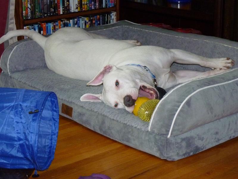 Still having fun 6mo later