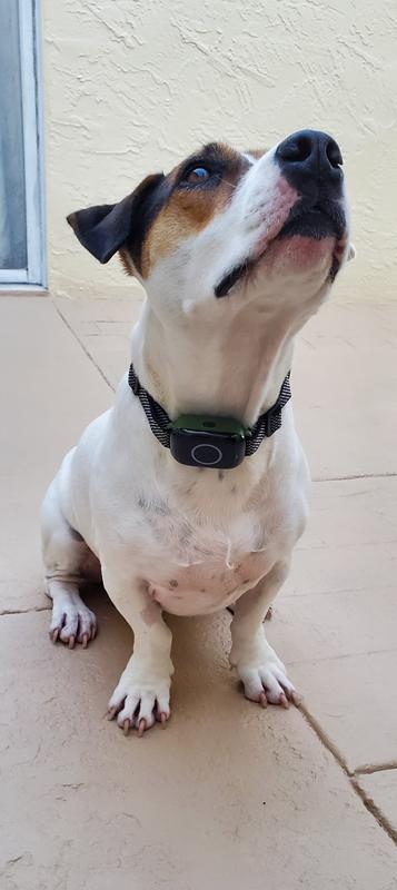 Receiver on an 18 inch neck