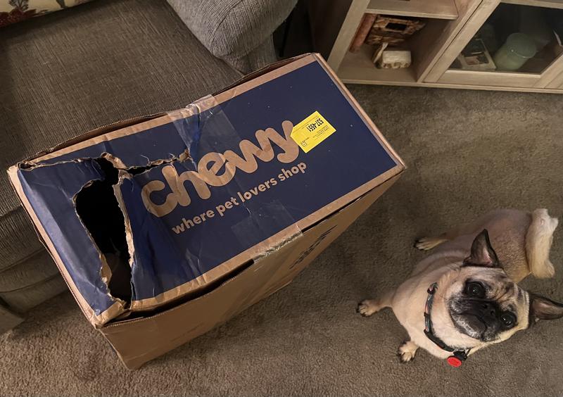 Elliott was very concerned!