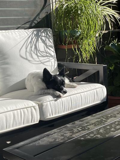 In the sun