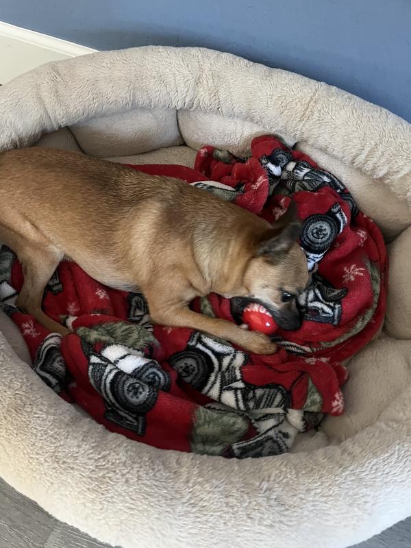 KONG Signature Balls Dog Toy, 2pack, Red, Large