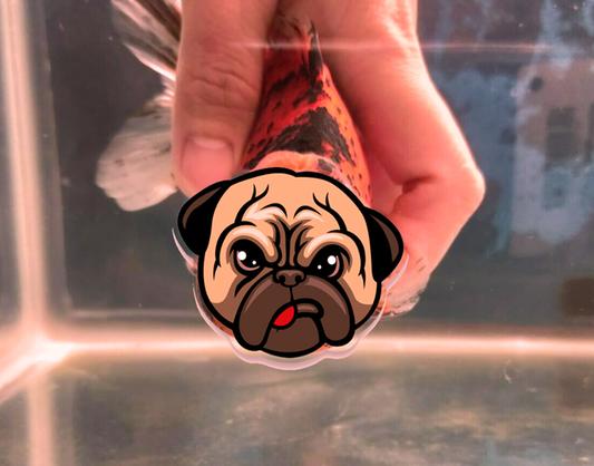 API NITRA-ZORB SIZE 6 Filtration Media To Remove Aquarium Toxins 1 - Foto 14