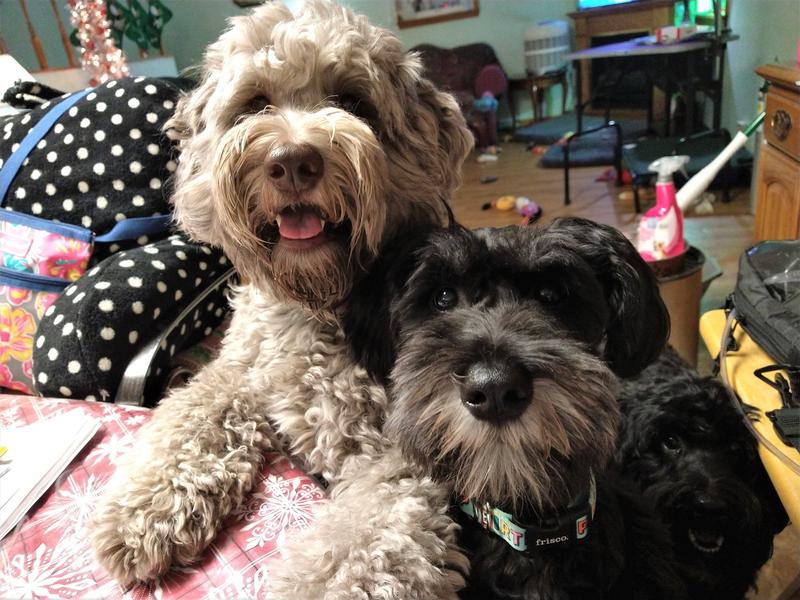 The 3 Stooges! Lol! Love them!