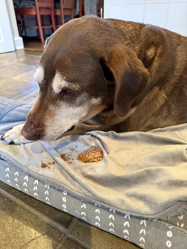 My dog gets so exited when she hears me open the package each night.  She comes running.  This product seems so healthy with all kinds of grains and seeds. Very easy to chew up as they aren’t very hard but they are very messy.