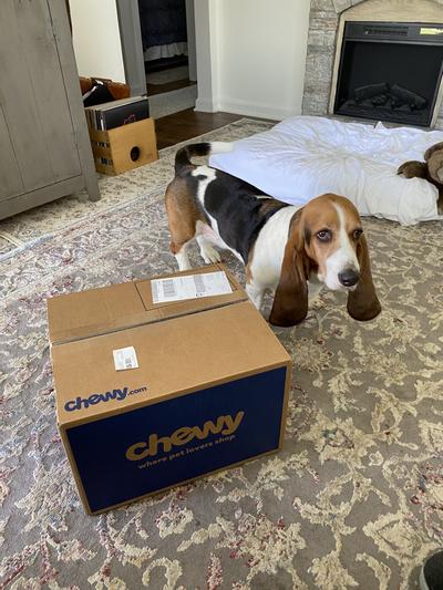 Yay my chewy boxes here