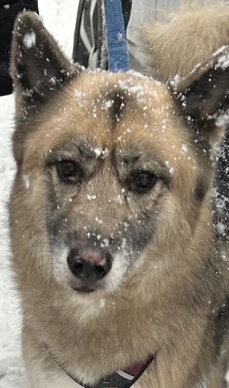 When we lived in PA!! She lived the snow