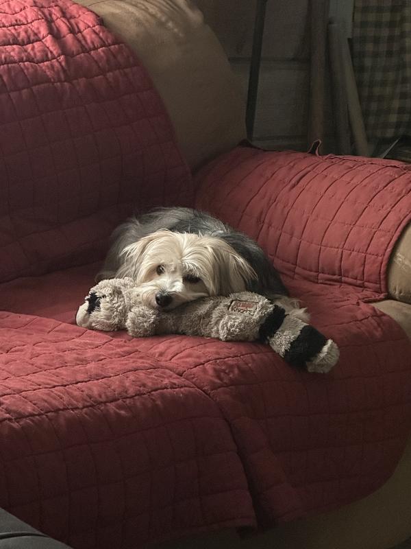 ZAK and his favorite toy, “Rocky”